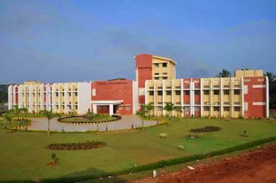 university